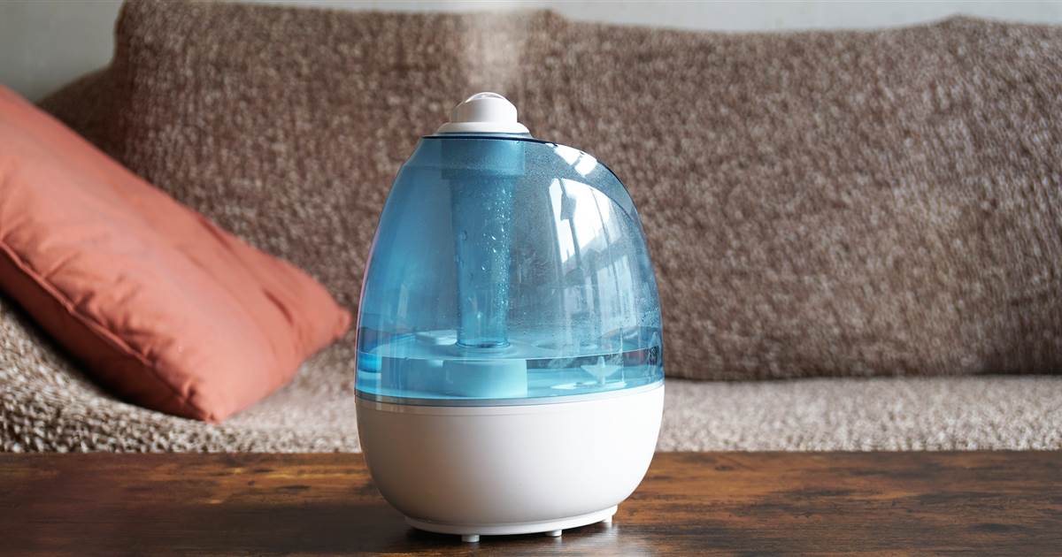Comment choisir son humidificateur d’air Les actualités sur l'habitat